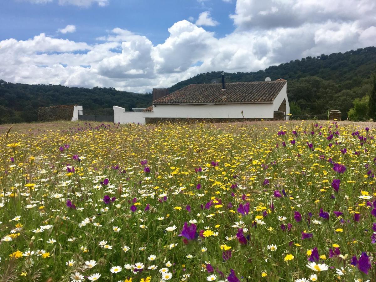 Pensjonat Finca Valle Corchoso Cala Zewnętrze zdjęcie