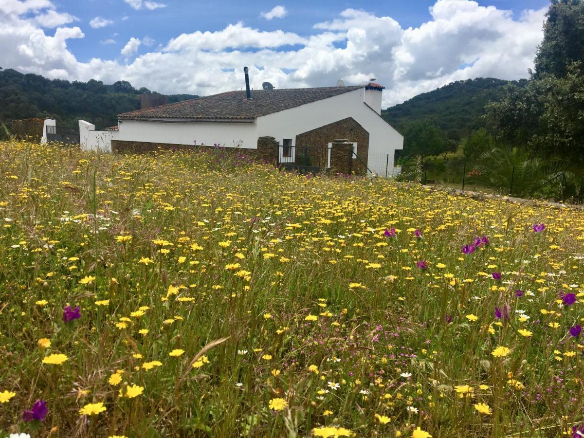 Pensjonat Finca Valle Corchoso Cala Zewnętrze zdjęcie