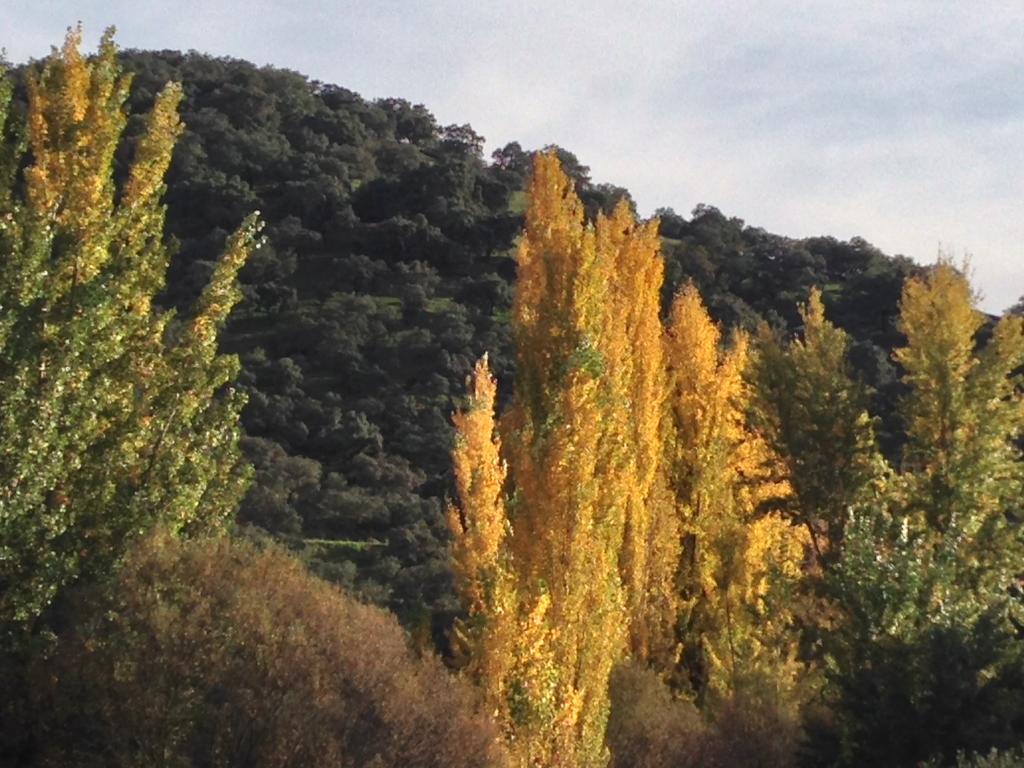 Pensjonat Finca Valle Corchoso Cala Zewnętrze zdjęcie