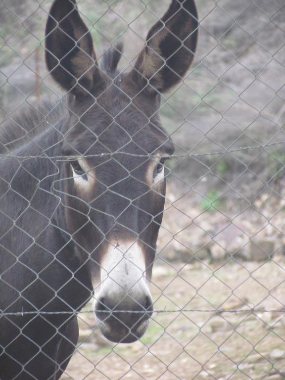 Pensjonat Finca Valle Corchoso Cala Zewnętrze zdjęcie